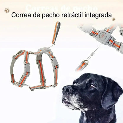 general