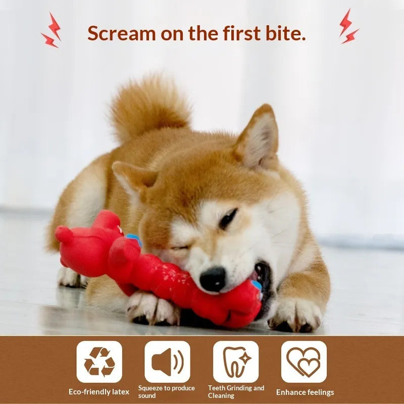 Juguete interactivo para perros chirriante