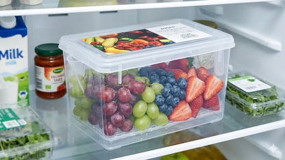 Contenedor Organizador Plástico de 4.5 Litros para Alimentos