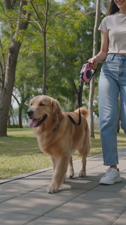 Correa Retráctil Automática para Perros y Gatos 5M
